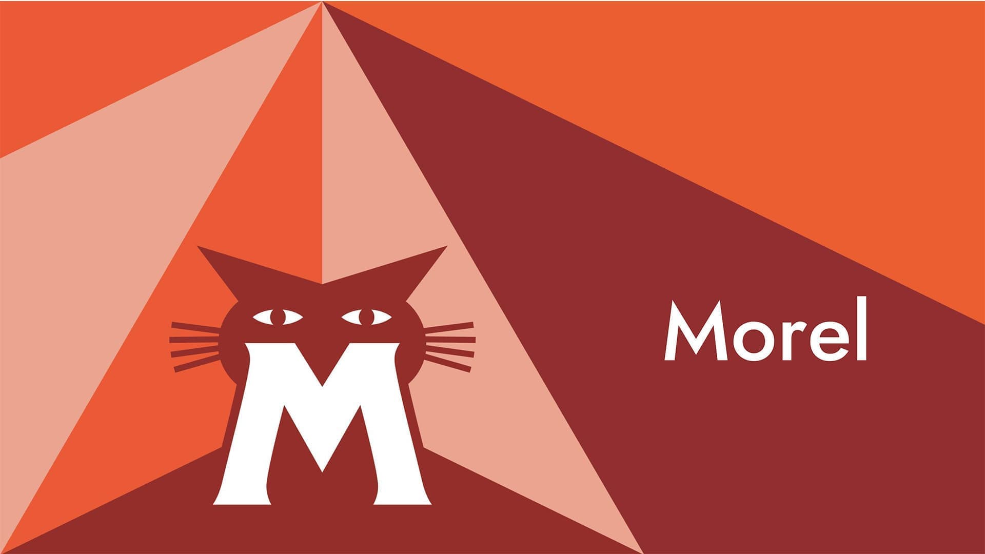 Clear-Vision｜MOREL